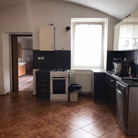 Dvacitka Daire Ceske Budejovice Dış mekan fotoğraf