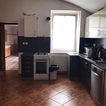 Dvacitka Daire Ceske Budejovice Dış mekan fotoğraf